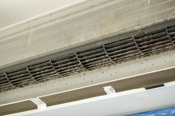 Best Professional Duct Cleaning Services  in Marshall, MN